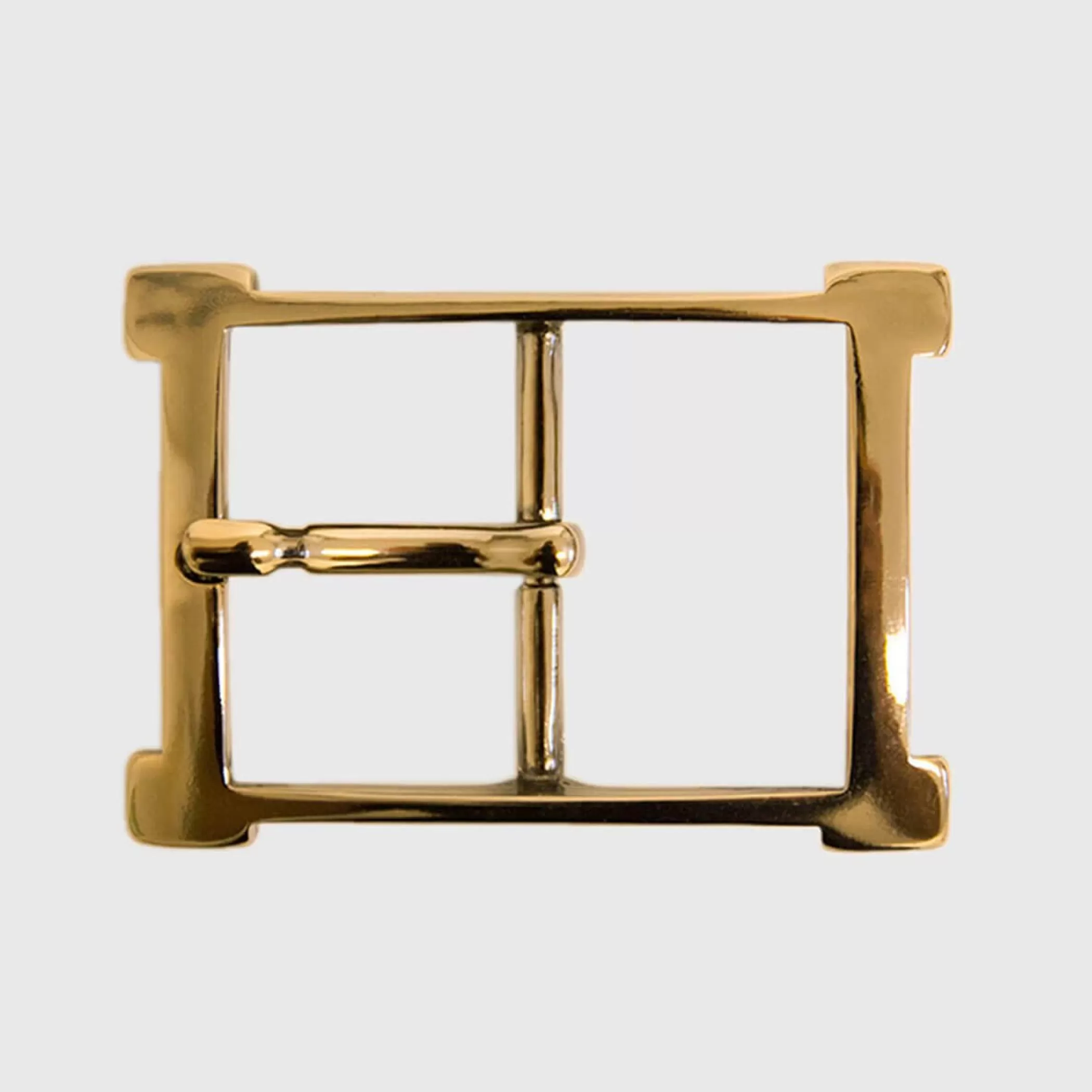 Reptile's House Buckles>Alba Gold