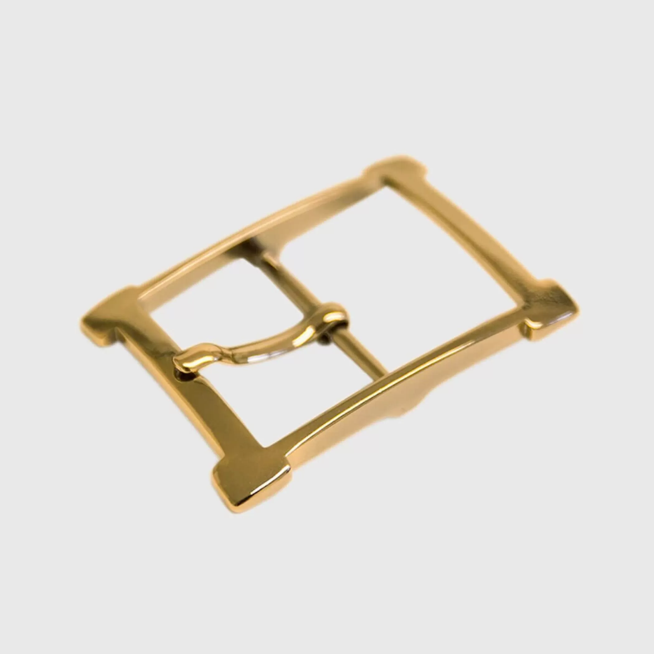 Reptile's House Buckles>Alba Gold