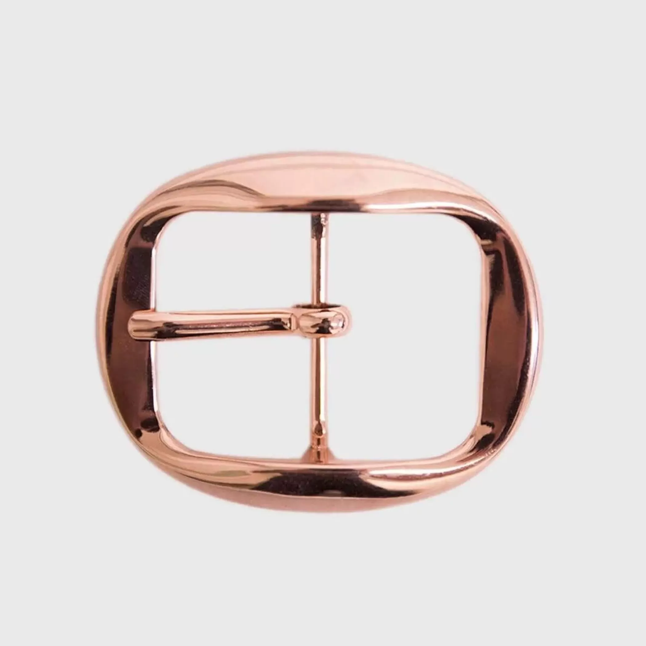Reptile's House Buckles>Dasy