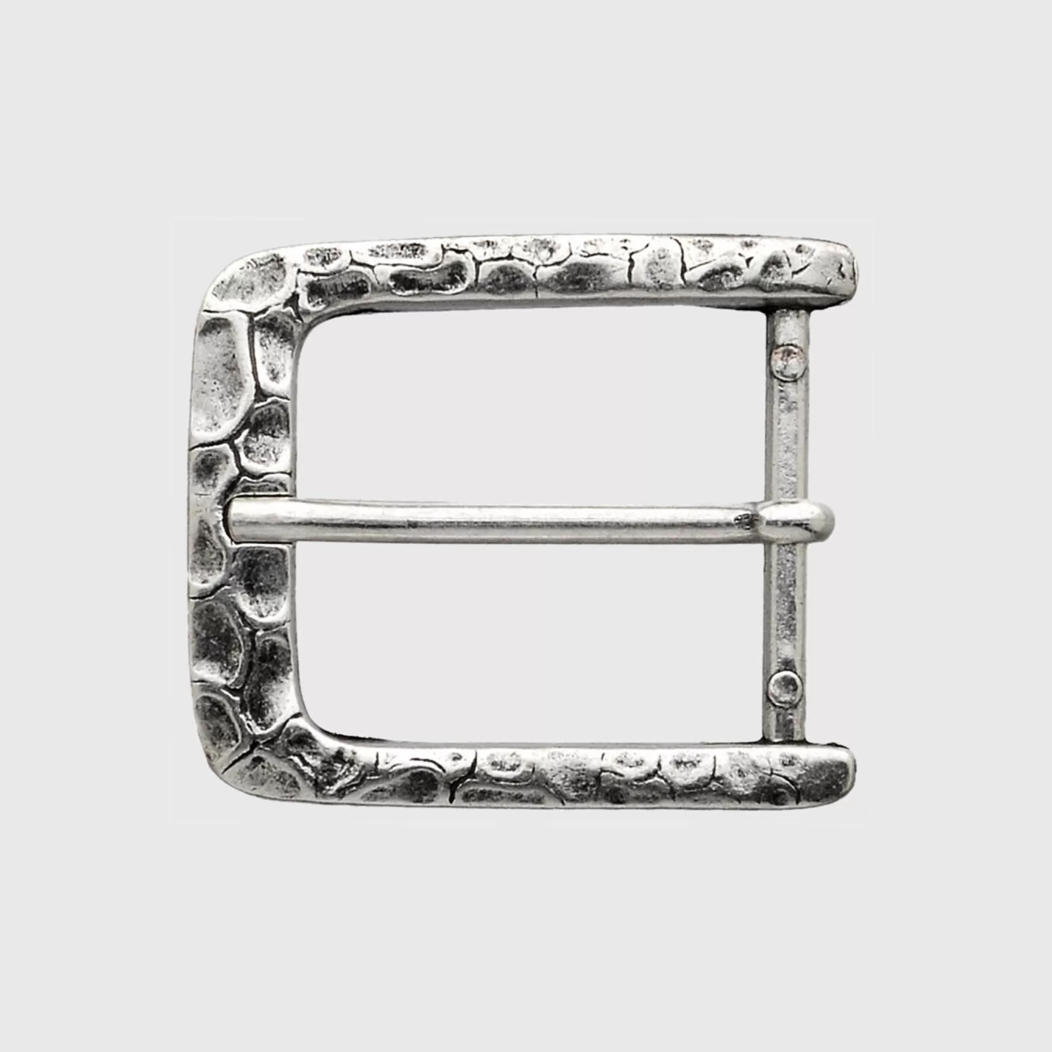 Reptile's House Buckles>Iside