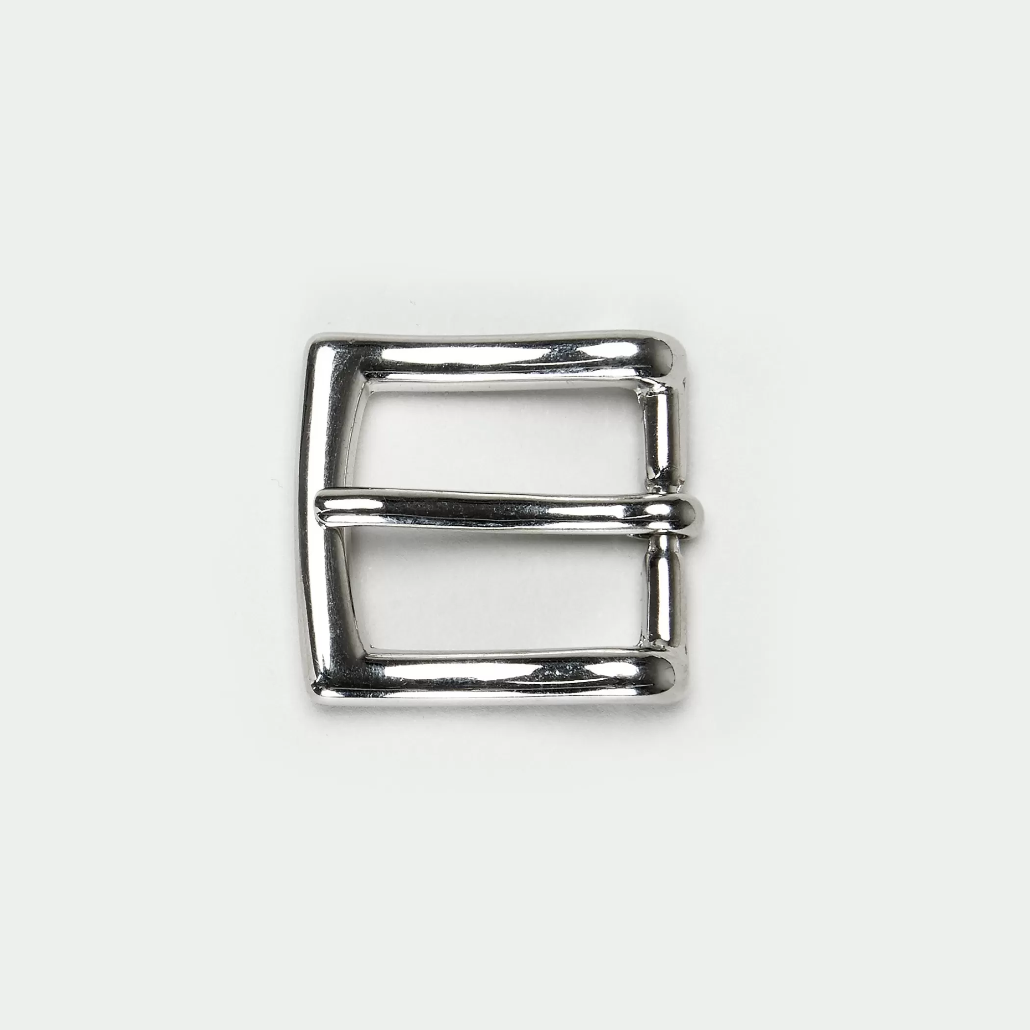 Reptile's House Buckles>Jan