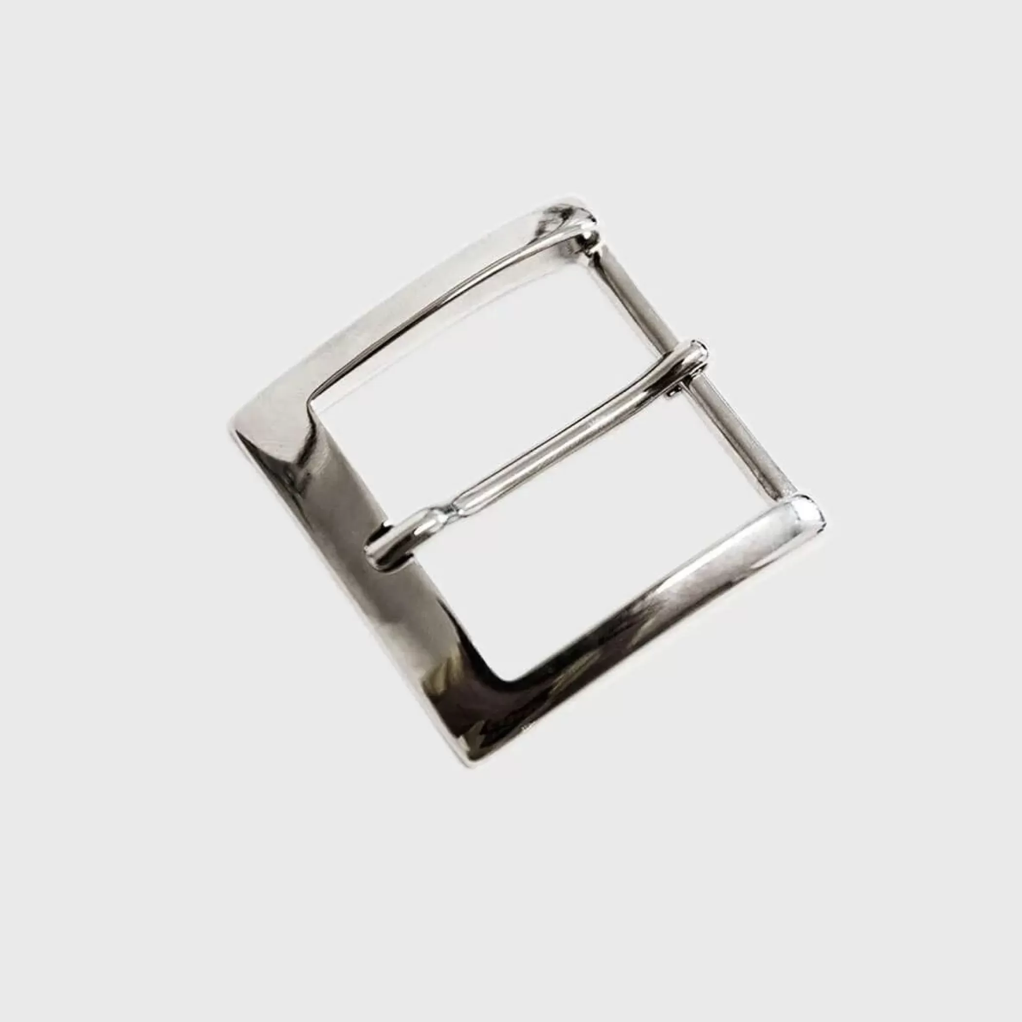 Reptile's House Buckles>Mark