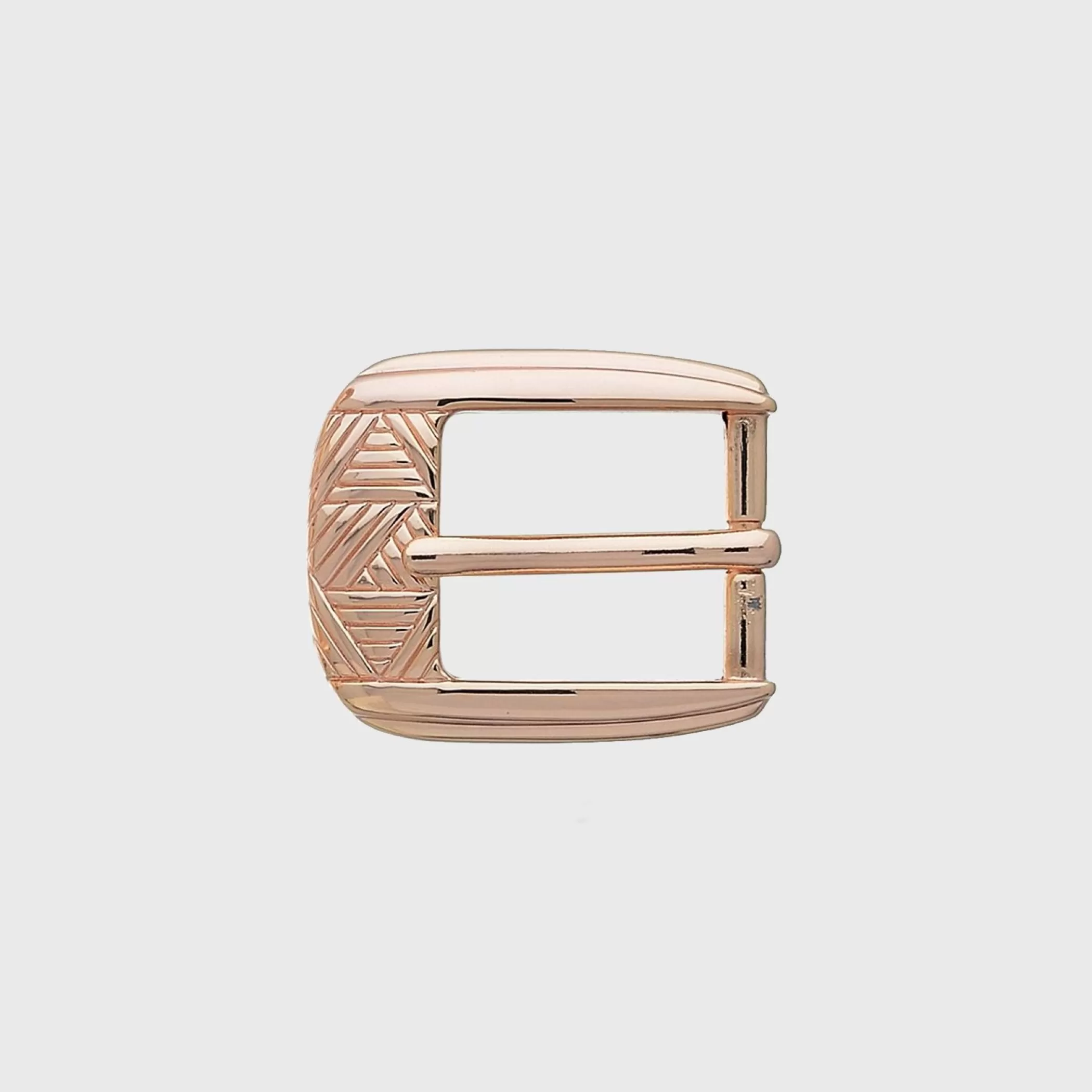 Reptile's House Buckles>Stellar