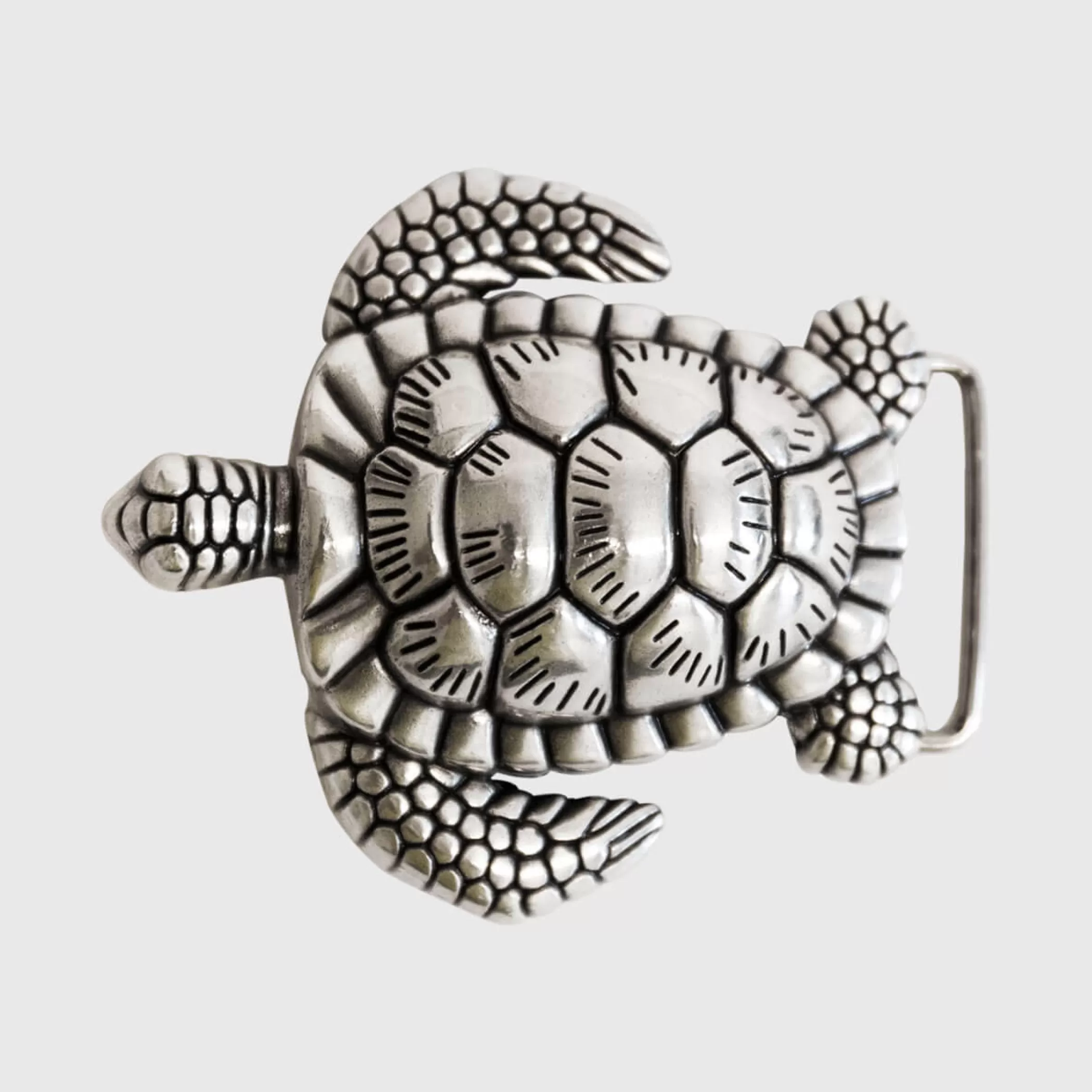Reptile's House Buckles>Turtle
