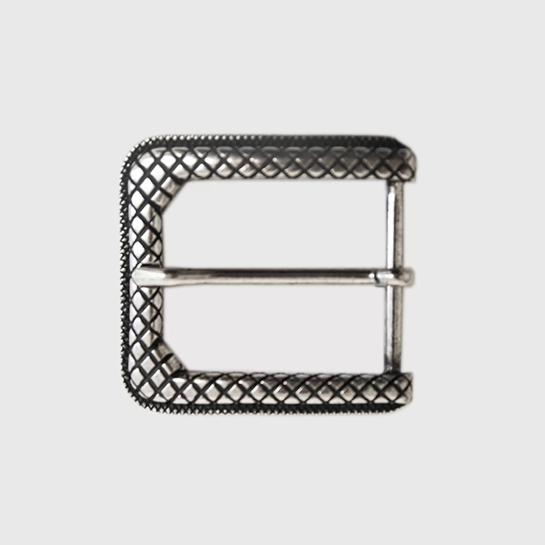 Reptile's House Buckles>Zeta